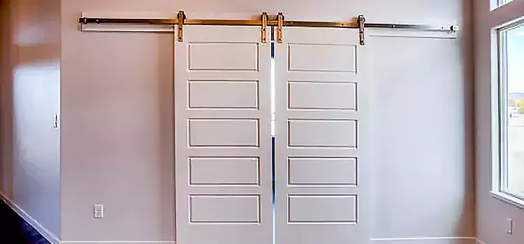 Glass Barn Door with Installation Hardware Kit Winthrop